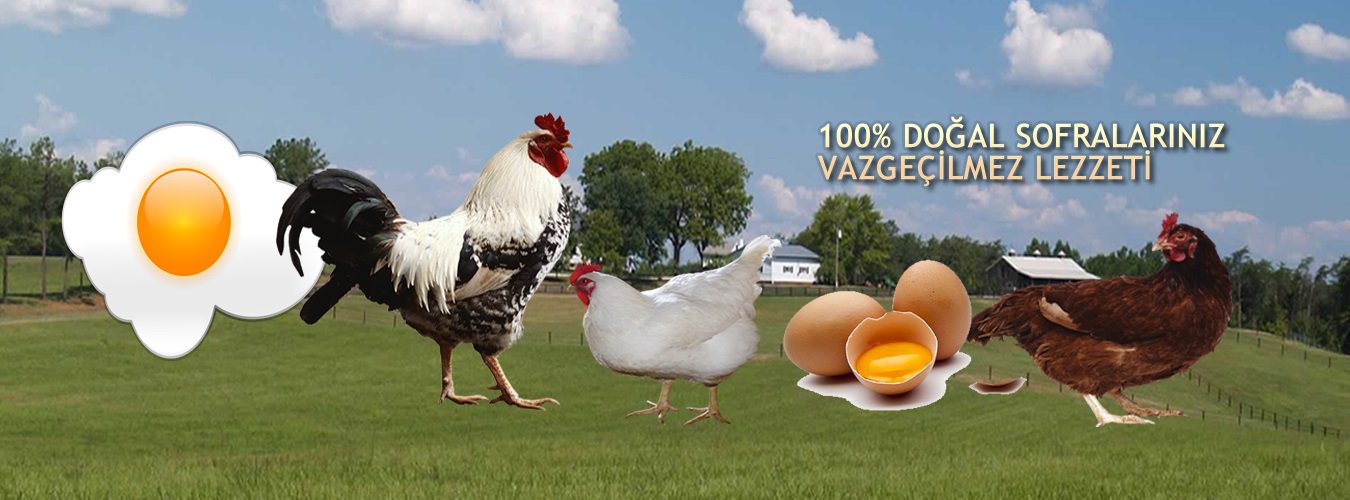 Evinize Gelen Lezzet